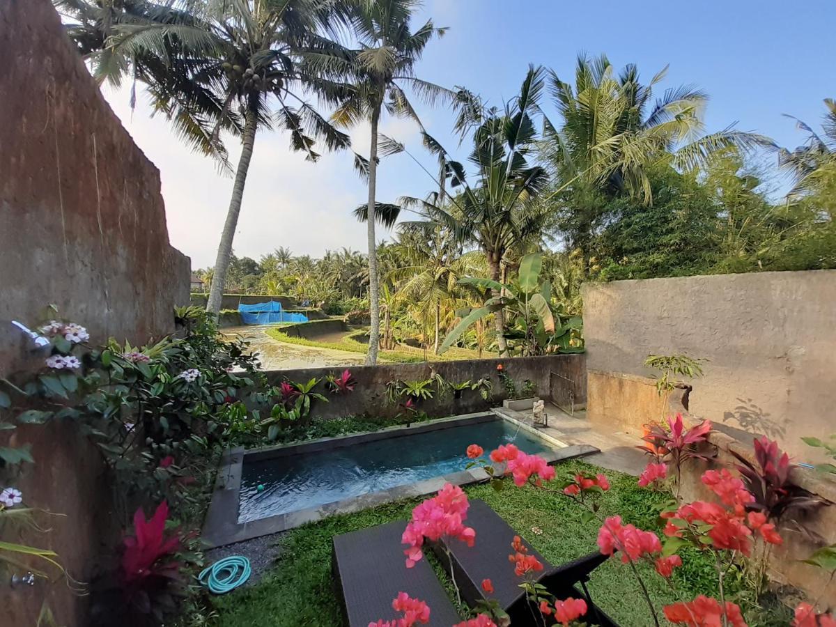 Hidden Point Villa Ubud Dış mekan fotoğraf